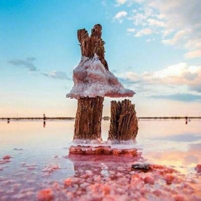 久游棋牌下载手机版